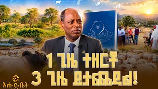 እናቴ ደብቃ ልካኝ ነው ት/ቤት የገባሁት” | ከ90+ ምርምሮች ጀርባ ያለው አስገራሚ ታሪክ
