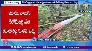 ములుగులో టోర్నడో తరహా  బీభత్సం.. 4 కిలోమీటర్ల మేర చెట్లు నేలకూలాయి!
