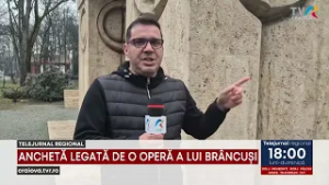 ANCHETĂ LEGATĂ DE O OPERĂ A LUI BRÂNCUȘI