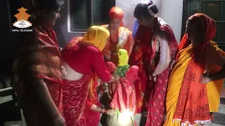 कञ्चनपुर लगायत सुदूरपश्चिममाआज गौरा पर्व धुमधामका साथ मनाईदै || NEPAL TELEVISION