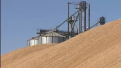 ₸31.9 billion allocated to support farmers this year