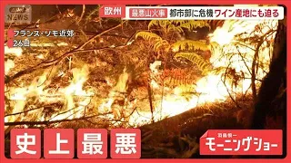 Worst Wildfires in European History, High-Frequency Typhoons in China, Widespread Damage Globally...