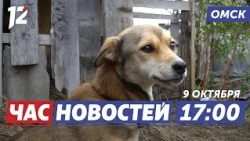 20 собак против целого посёлка / Гадалка отправилась в колонию / 35 лет оркестру. Новости Омска