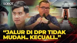 Denny Indrayana Soal Proses Pemakzulan Gibran di DPR: Saya Tidak Yakin Ini akan Jalan