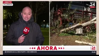 La Araucanía: Red alert due to winds of up to 100 km/h in the lake district