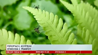 2 386 ψεκασμοί σε εστίες κουνουπιών σε 29 κοινότητες του δήμου Άργους Μυκηνών
