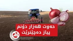 ئەم ساڵ لە دەڤەری ئاکرێ حەوت هەزار دۆنم پیاز دەچێنرێت