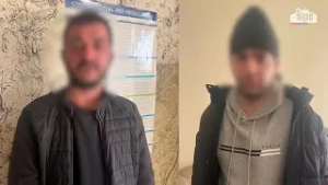 Առգրավվել է հալյուցինոգեն սնկերով հարյուր փաթեթ․ Երևանի քրեական ոստիկանների բացահայտումը