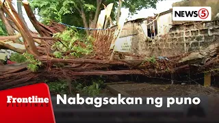 1 patay, 2 sugatan nang mabagsakan ng nabuwal na puno | Frontline Pilipinas