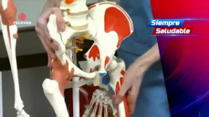 Siempre Saludable: La pelvis femenina se redujo en los últimos años – El Noticiero primera emisión