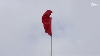 التعيين الملكي لفاطمة الزهراء المنصوري رئيسة للحكومة : تمكين المرأة المغربية من مواقع المسؤولية