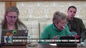 DEZBATERE CU IZ DE SCANDAL PE TEMA CĂSUȚELOR PENTRU PISICILE COMUNITARE
