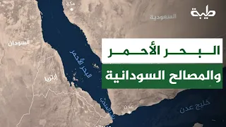 قاسم الظافر :البحر الأحمر يمثل ورقة مهمة يمكن توظيفها سياسيًا واقتصاديًا لخدمة القضية السودانية