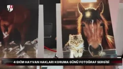 Hayvan Hakları Koruma Günü Fotoğraf Sergisi | Kadir Çivici