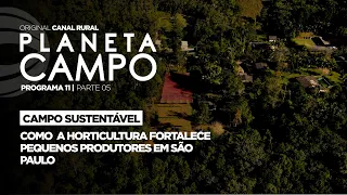 How horticulture strengthens small producers in São Paulo | Planeta Campo - ep.11 part 5