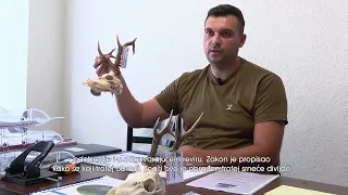 LD "SRNDAĆ 1920": LOVNA SEZONA NA SRNEĆU DIVLJAČ USPJEŠNO ZAVRŠENA