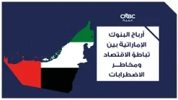 UAE Bank Profits Between Economic Slowdown and Risks of Instability
