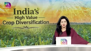 In-Depth: Crop Diversification Report | 08 September, 2026