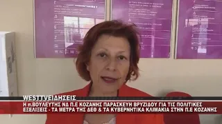 H π.ΒΟΥΛΕΥΤΗΣ ΝΔ Π.Ε ΚΟΖΑΝΗΣ ΠΑΡΑΣΚΕΥΗ ΒΡΥΖΙΔΟΥ ΣΤΟ ΔΕΛΤΙΟ ΤΟΥ WEST ΓΙΑ ΤΑ ΚΥΒΕΡΝΗΤΙΚΑ ΚΛΙΜΑΚΙΑ