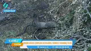 Zaqatalada avtomobil ağaca çırpılıb alovlandı, sürücü yanaraq öldü