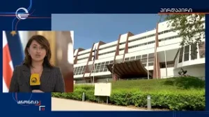 ევროსაბჭო უცხოური ჩარევის წინააღმდეგ მუშაობას იწყებს, გამოცდილების გაზიარებას კი საქართველოს სთხოვს