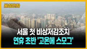 수도권·영서 첫 '비상저감조치'…설 연휴 초반 '고온 건조에 잿빛 하늘' [세상만사] #서울 #비상저감조치 #고온 #스모그