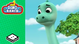 A Bully Dinosaur | Dino Ranch | Boomerang Italy