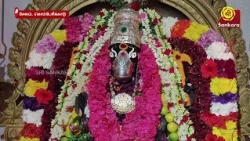 ஸ்ரீ மஹா வாராஹி அம்மன் ஆலயத்தில் நடைபெற்ற சிறப்பு பூஜை | Bhakthi News