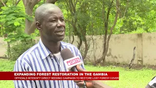 FOREST RESTORATION