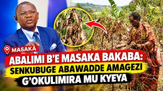 Abalimi b'e Masaka balaajana emmwanyi zabwe zikaze - Senkubuge abawadde amagezi