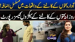 Alert! Dog Bite Cases Surge Across Pakistan | Hundreds Reported Daily - 24 News HD