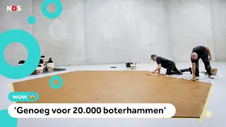 This museum has a floor made of peanut butter: 'Smells pretty intense'