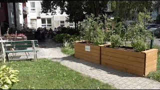 Záhony ako terapia