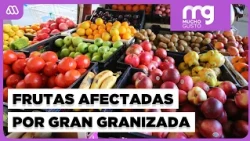 Hailstorm causes major fruit losses: Cherries, grapes, and peaches are the most affected
