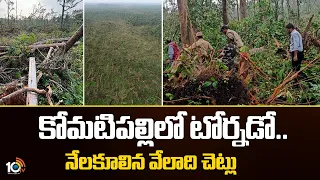 కోమటిపల్లిలో టోర్నడో.. నేలకూలిన వేలాది చెట్లు | Tornado In Mulugu District Forest | 10TV