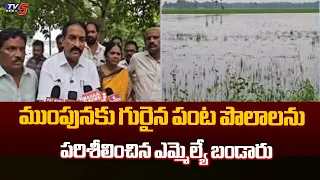 MLA Bandaru Satyananda Rao inspected the inundated crop fields in Konaseema | TV5 NEWS