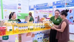| Thanh Hoa Television