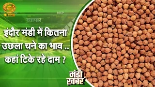 Mandi News: How much did gram prices jump in Indore market.. where did rates remain steady? | DD ...