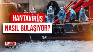 Evacuations Have Begun on the Hantavirus Ship! How Does the Disease Spread? | 05/11/2026