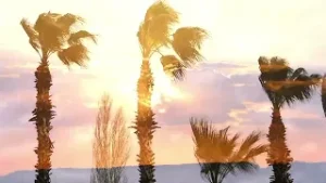 Bajas temperaturas en Tabasco se deben al cambio climático y al fenómeno La Niña: especialista