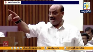 YCP Protest in Council | Indapur Dairy Butter Supply to TTD