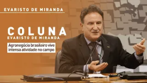 Agronegócio brasileiro vive intensa atividade no campo