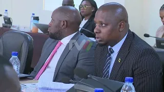 Global production in Niassa: Province projects 6% growth in 2027