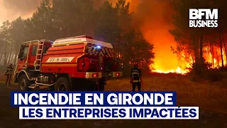 Gironde wildfires: The state comes to the aid of businesses