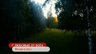 Вечер в лесу | С любовью от Бога
