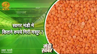 Mandi Khabar | Market News - How much did the price of lentils fall in Sagar Mandi? | DD Kisan | ...