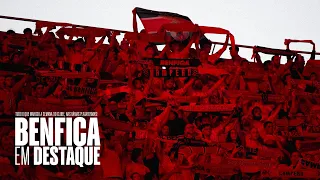 Benfica in the Spotlight | July 31