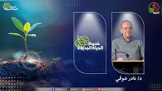 اجتماع خدمة الحياة الجديدة "قوة الكهنوت الملوكي" - | قناة الكرمة
