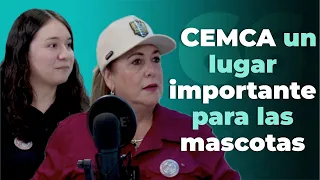 CEMCA un lugar importante para las mascotas