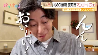 【Akira Okasawa's Stationfront Diner】Christmas All Year Round! Pumpkin Doria at "Noel no Ki" | Nis...